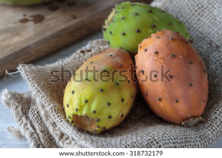 Similar – Image, Stock Photo prickly pears Fruit Nature