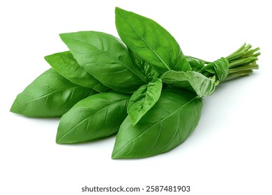 Un manojo de hojas de albahaca verde fresca y vibrante atadas juntas, aisladas sobre un fondo blanco limpio