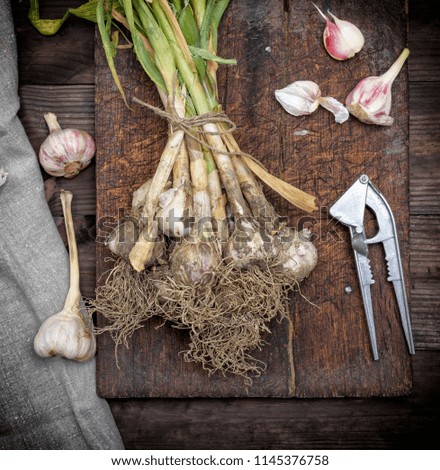 Image, Stock Photo bunch of fresh young garlic