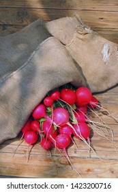 A Bunch Of Freshly Picked Wet Heirloom Radishes Easter Egg 