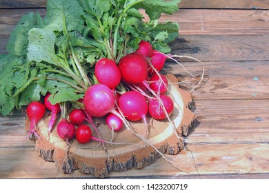 A Bunch Of Freshly Picked Wet Heirloom Radishes Easter Egg 