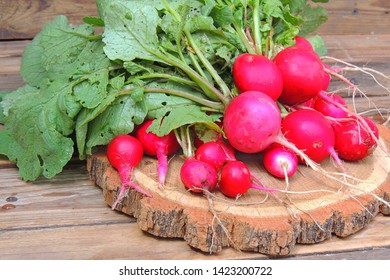 A Bunch Of Freshly Picked Wet Heirloom Radishes Easter Egg 