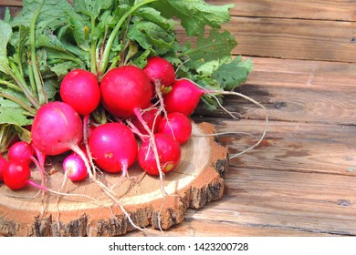 A Bunch Of Freshly Picked Wet Heirloom Radishes Easter Egg 