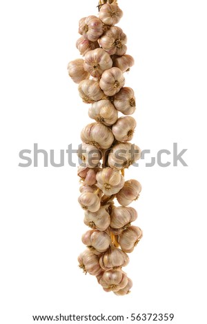  bunch of garlic isolated on white background