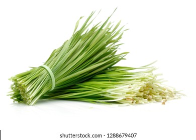 A Bunch Of Grass Isolated On White Background