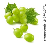 Bunch of green grapes isolated on white background. Perfect berries with reflections and shadow. Package design element with clipping path