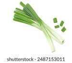 bunch of green onion isolated on white background. clipping path