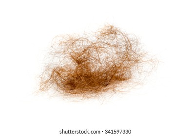 Bunch of hair. Hair loss concept