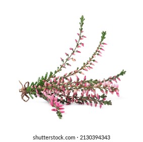 4,077 Heather bunch Images, Stock Photos & Vectors | Shutterstock