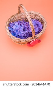 A Bunch Of Hydrangea Flowers On A Woven Basket Isolated On Pink Background With Copyspace