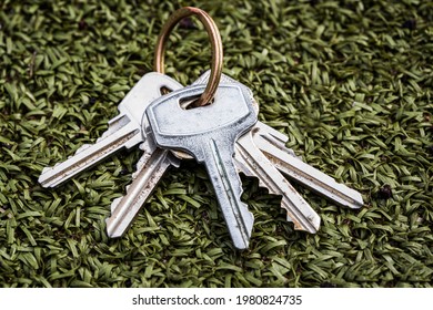 A Bunch Of Keys Rests On A Green Artificial Path. Don't Get Home. Loss. High Quality Photo