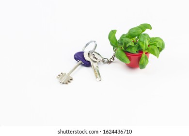 Bunch of keys with a trinket in the form of green Basil in a red baby jar isolated on a white background. Healthy vegetarian food. Organic herbs. Key to health