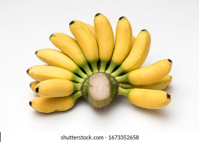 a bunch of lady finger bananas isolated white background.