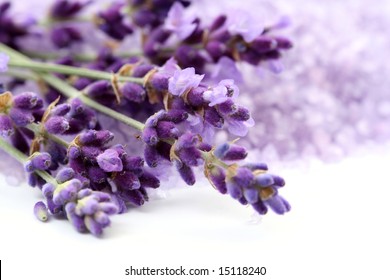 bunch of lavender flower isolated on white close-ups - Shutterstock ID 15118240