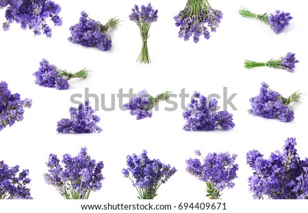 Bunch of lavender flowers isolated on white background. Collection.