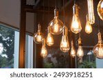 A bunch of light bulbs hanging from the ceiling. The bulbs are all different sizes and colors. Scene is warm and inviting