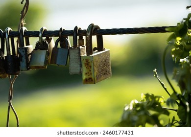 A bunch of locks are hanging on a wire