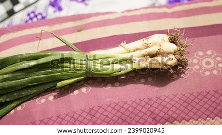 A bunch of lush green onions, their slender stems standing tall, decorated with vibrant green leaves. They add a fresh and aromatic touch to culinary creations, and enhance the flavors with their cris