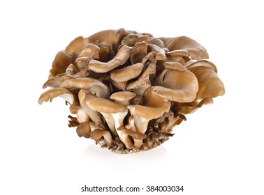 Bunch Of Maitake Mushroom On White Background