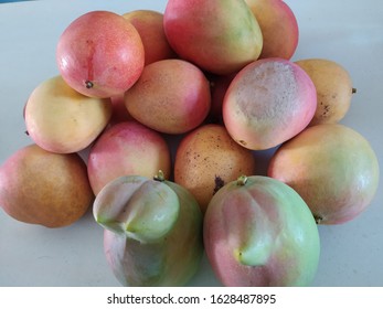 A Bunch Of Mangoes On The Table That Just Picked Them Up Recently In Farm In Dimbulah Queensland. Few Of Them Are On Weird Shape