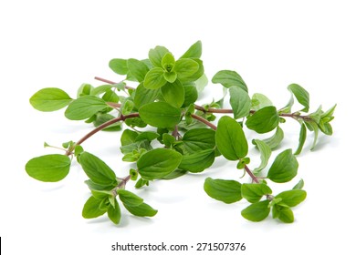 Bunch Of Marjoram Isolated On White