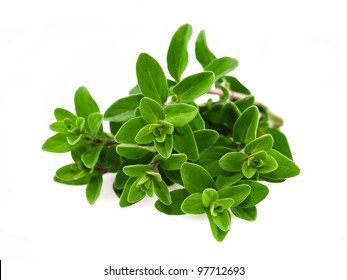 Bunch Of Marjoram Isolated On White