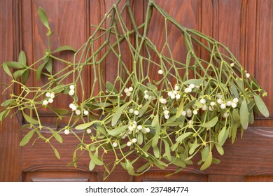 Bunch Of Mistletoe On The Wooden Door