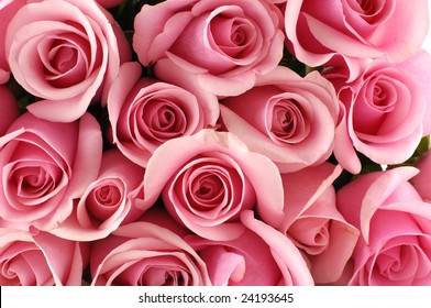 bunch of multiple pink roses background