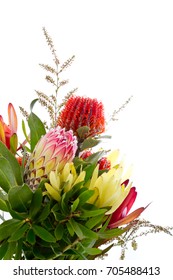 Bunch Of Native Australian Flowers - With Protea And Banksia Against White Background With Copy Space