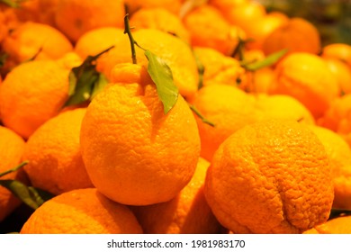 A Bunch Of Oranges Fang zai yi qi