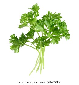 bunch of parsley leaves isolated on white - Shutterstock ID 9862912