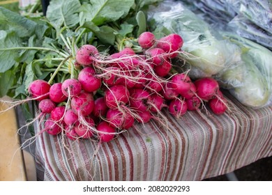 A bunch of pink and crimson red radishes gathered in a cluster on a striped table cloth at a farmer's market in Port of Spain, Trinidad and Tobago. Strong taste, healthy, clean, crop, diet, vegan. - Powered by Shutterstock