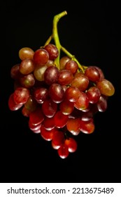 A Bunch Of Pink Grapes On A Black Background. Agriculture, Food Industry, Harvest. Food, Beverages, Juices, Wine, Raisins, Wine Vinegar, Grape Seed Oil. Wine
Making, Viticulture, Vitamins.