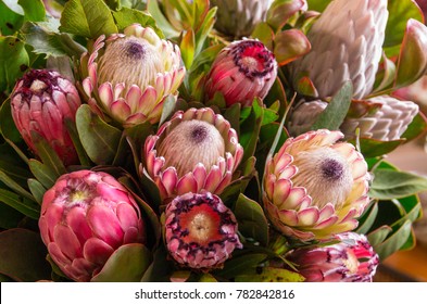 2,863 Protea bunch Images, Stock Photos & Vectors | Shutterstock