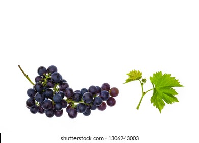 Bunch Of Pinot Noir Grapes With Leaves Isolated On White Background