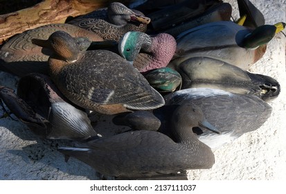 Bunch of plastic duck decoys lay in pile waiting on next duck hunting excurtion.