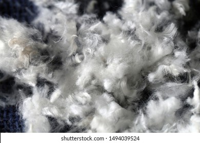 Bunch of poodle hair after trimming a white poodle dog. Beautiful, abstract texture of the fur in a closeup macro image. White fur on a blue surface. Dog groomers everyday life. Color image.