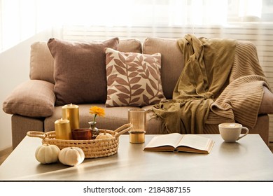 Bunch of pumpkins of different kinds, shapes and colors on the floor and a table, open book and cup of coffee. Symbol of autumnal holidays with a lot of copy space for text, close up, background.