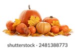 A bunch of pumpkins and leaves are arranged isolated on a white background. The pumpkins are of different sizes and are placed in various positions, while the leaves are scattered around them