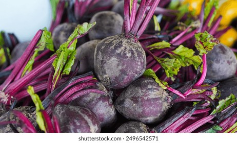 A bunch of purple beets with green leaves. The beets are all different sizes and are piled on top of each other