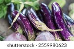 A bunch of purple eggplant are on a table. The eggplant are all different sizes and are arranged in a way that they are all facing the same direction