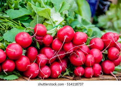 Bunch of radishes 
