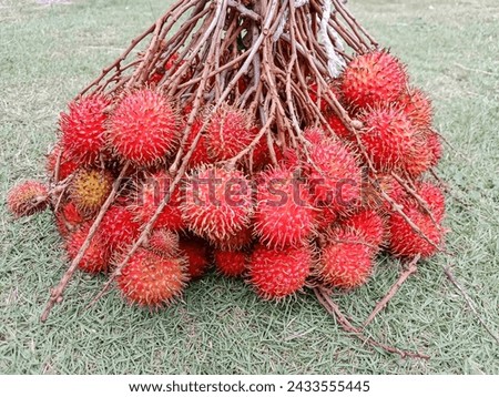 Bunch of rambutan fruits. Rambutan fruits. Ripe rambutan sweet tropical fruit.