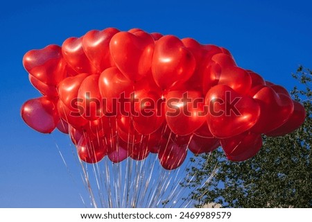 Similar – Image, Stock Photo solemn l Red balloons