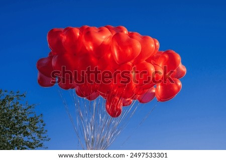 Similar – Image, Stock Photo solemn l Red balloons