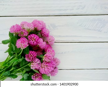 Bunch of red clover flowers (Trifolium pratense) close up. Spring red or pink clover flowers bouquet on white wooden table background, top view. Purple red wild clover flowers from field, text space