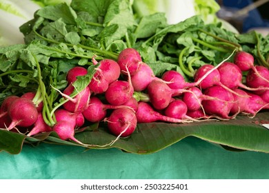 A bunch of red radishes are displayed on a green leaf. The radishes are fresh and ready to be eaten