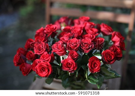 Bunch of Red Roses on Wooden Chair