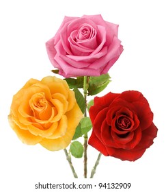 Red And Yellow Rose Images Stock Photos Vectors Shutterstock
