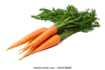 A bunch of ripe carrots with leaves isolated on white background.